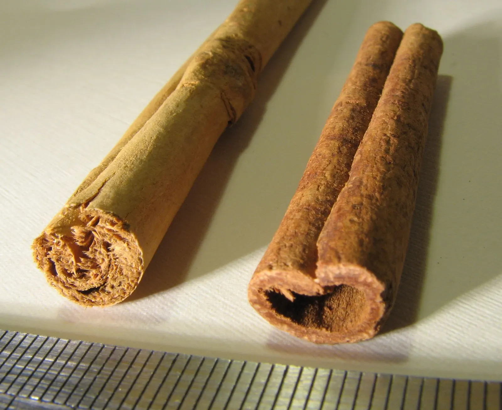 Two cinnamon sticks seen end-on above a millimetre scale: on the left a pale quill packed with many thin rolled layers, on the right a darker hollow quill rolled from one thicker layer