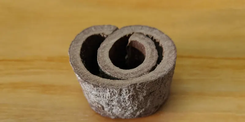 A piece of dried cinnamon bark curled into a double roll on a wooden table, its cut end showing one thick layer of bark