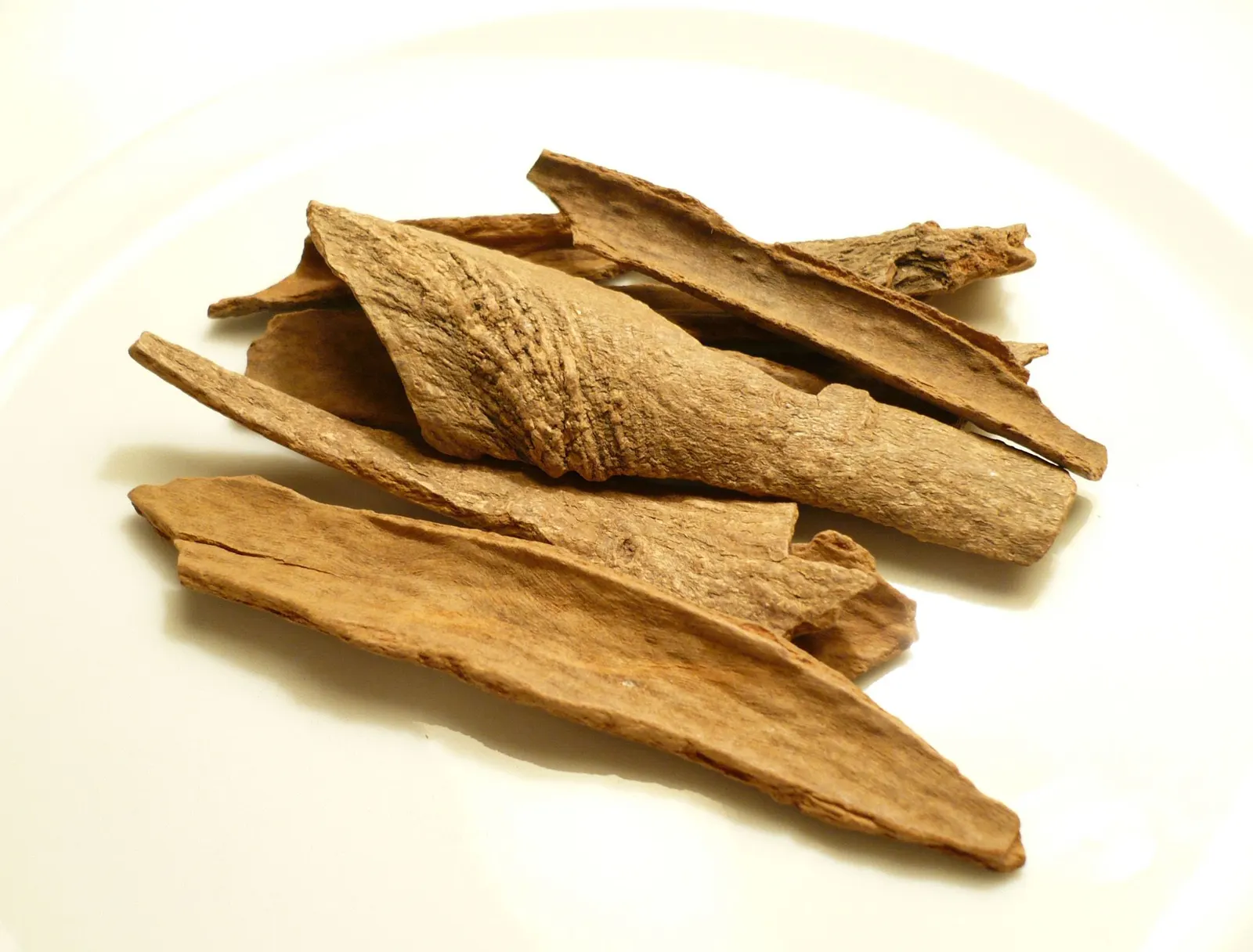 Several flat and half-curled pieces of light brown Saigon cinnamon bark on a white plate, one rolled piece showing rough outer bark