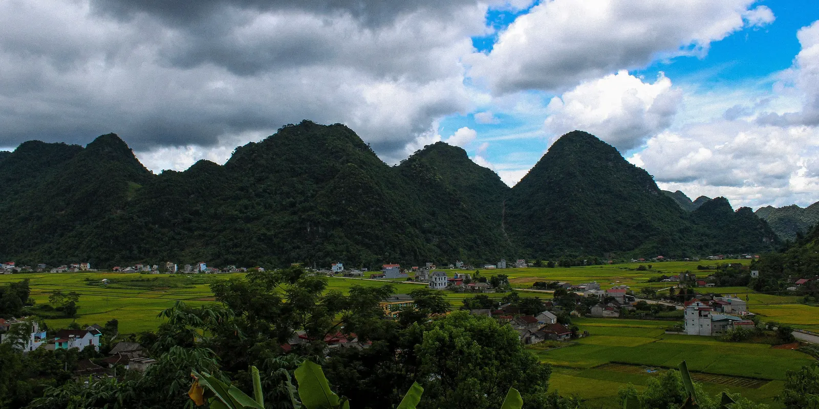 Ripening rice fields and scattered houses in a valley below a row of steep, forested limestone hills under dark clouds