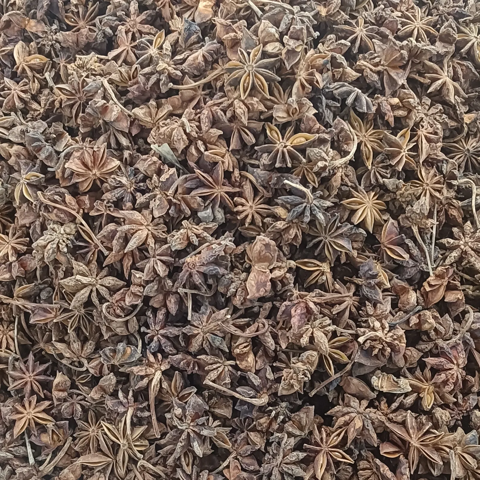 A pile of dried star anise with whole stars, broken follicles and stalks mixed together